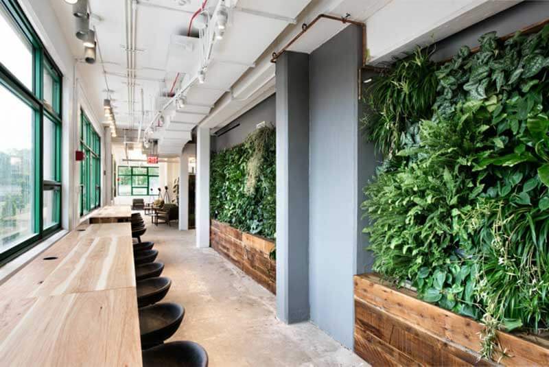 prospect biophilic design